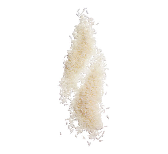 Rice-Rice powder-Oryza sativa