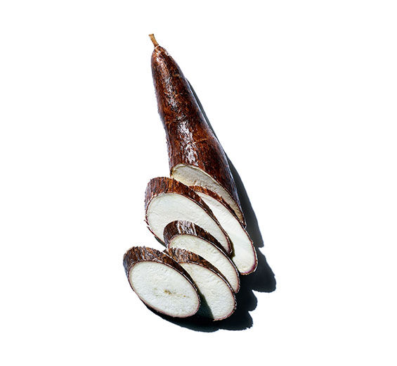 Manioc-Poudre de manioc bio-Manihot esculenta